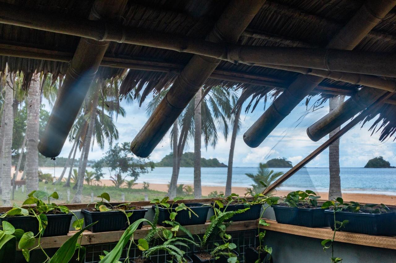 Eco Sanctuaries Nature Lodge Nacpan Beach, إل نيدو المظهر الخارجي الصورة