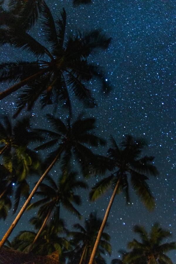 Eco Sanctuaries Nature Lodge Nacpan Beach, إل نيدو المظهر الخارجي الصورة