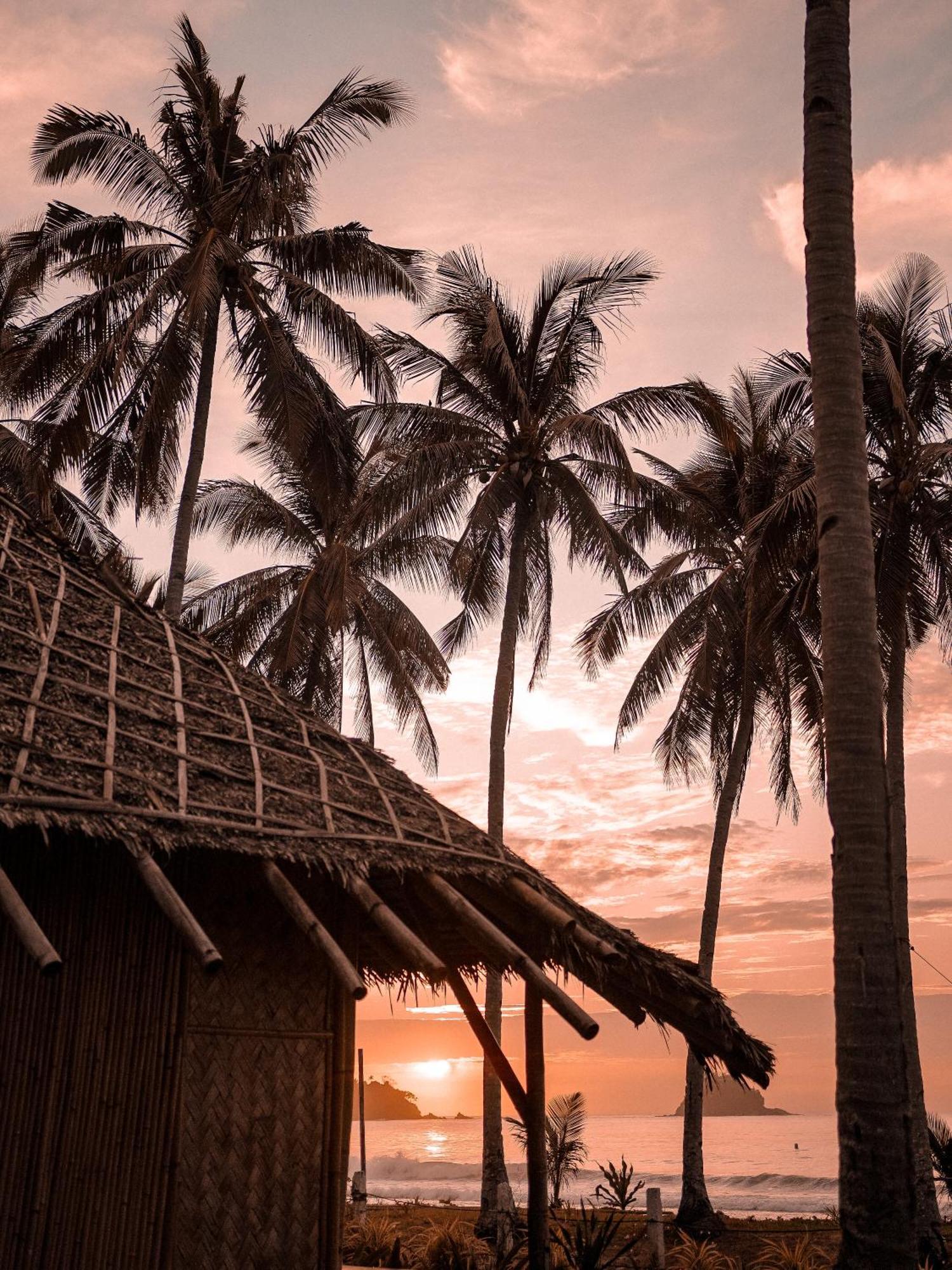 Eco Sanctuaries Nature Lodge Nacpan Beach, إل نيدو المظهر الخارجي الصورة
